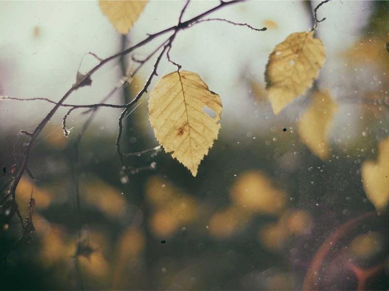 sustainable jewelry why stainless steel is eco friendly products