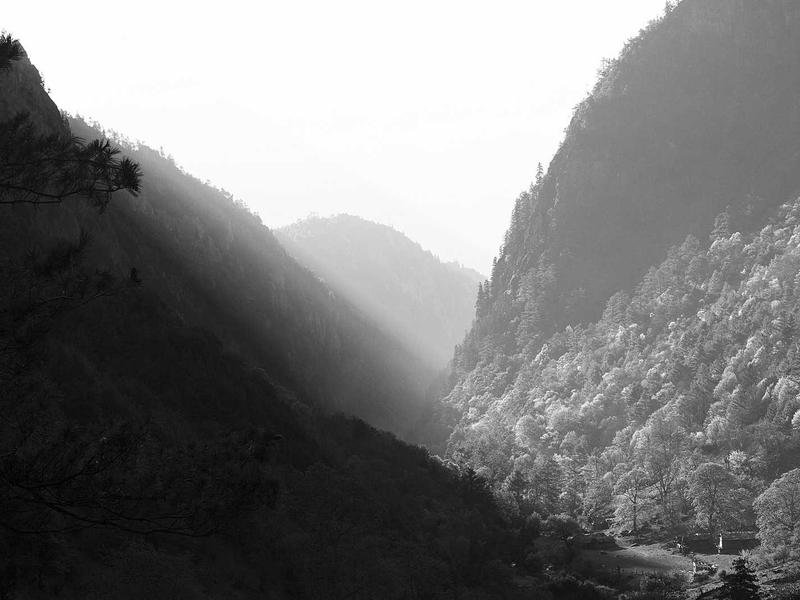 freemason rings wholesale products