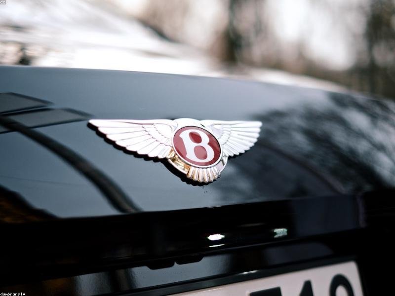 Wholesale Stainless Steel Jewelry: The Complete Sourcing Guide for 2026