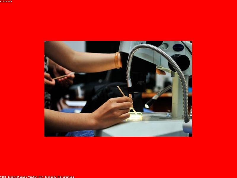 jewelry manufacturer China products