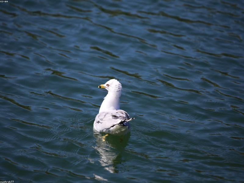 why choose stainless steel jewelry - detail