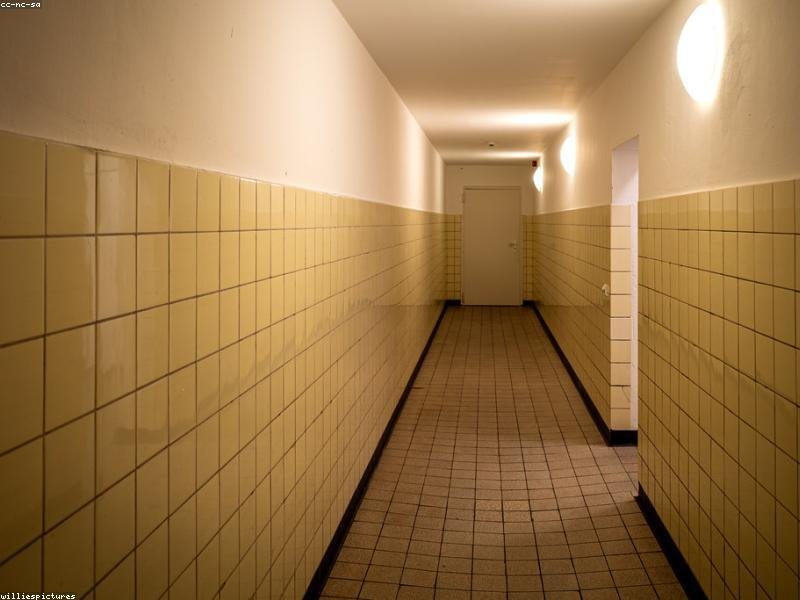 Sustainable Jewelry: Why Stainless Steel Is the Eco-Friendly Choice in 2026