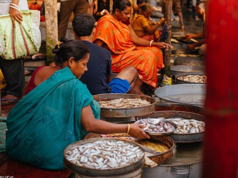 mens stainless steel rings products