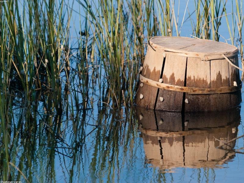 How to Start a Jewelry Business from Home: Complete Guide for 2026