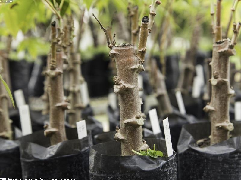 OEM jewelry manufacturer China products