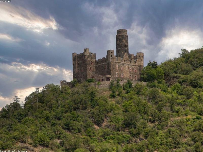 viking ring stainless steel products