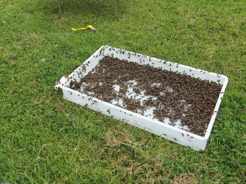 does stainless steel tarnish - detail