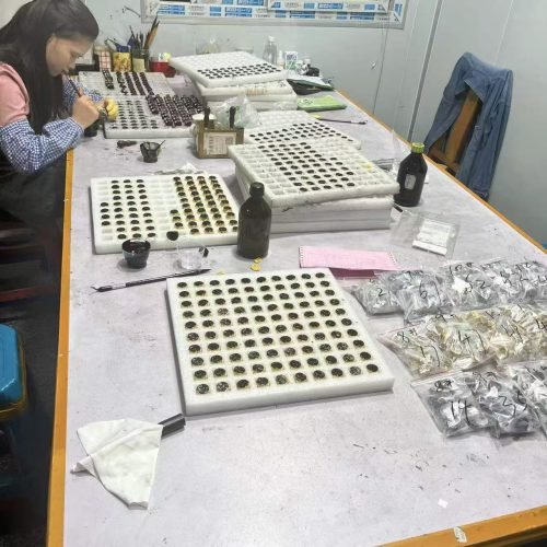 微信图片_20251212211001_93_4