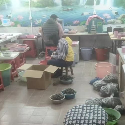 微信图片_20251212211007_97_4